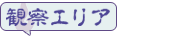 観察エリア