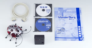 �搶�pCD-ROM���p�ӂ���Ă���
