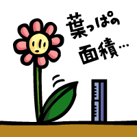 面積の求め方(第３回）～葉っぱ型図形の面積