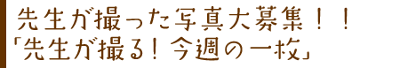 先生が撮った写真大募集!