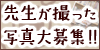 �搶���B�����ʐ^���W�I�I