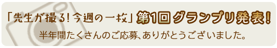 ��P��O�����v�����\�I