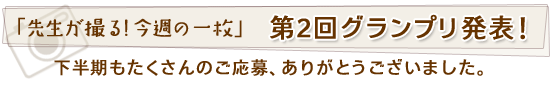 �u�搶���B��I�@���T�̈ꖇ�v��2��O�����v�����\�I