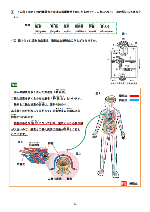 実用理科技能検定 ４級実物過去問解説付き 再版 新刊紹介 学びの場 Com