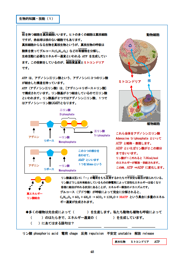 理科検定 理検 対策問題集３級２級１級 ー４級を入り口にまなぶー 新刊紹介 学びの場 Com