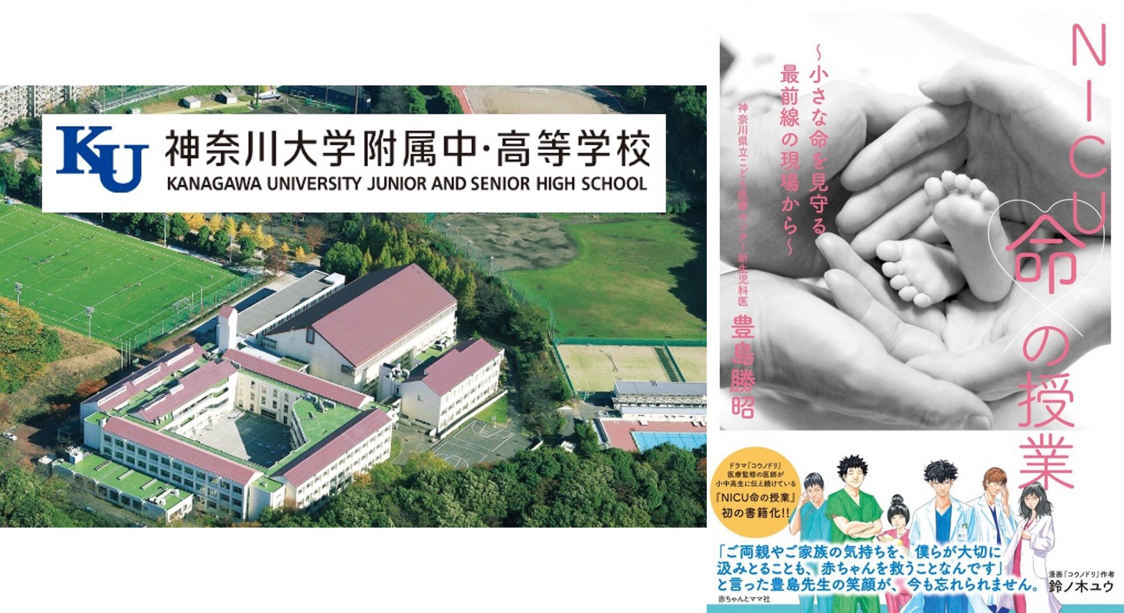 いのちについて、中学生に伝えるために（後編）学校と社会の連続性を意識した授業づくり