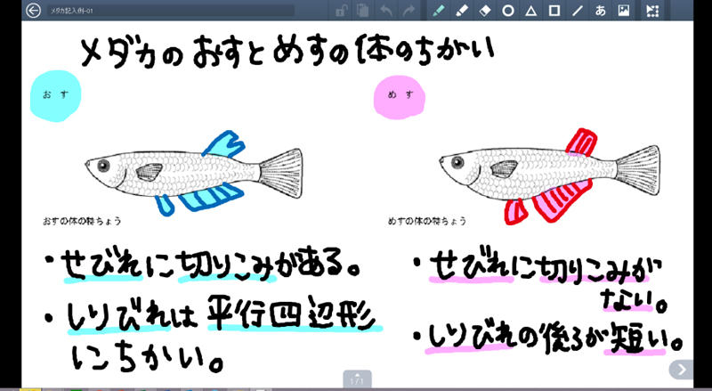 (株)内田洋行のノート専用ツール「デジタルスクールノート」