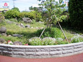 埼玉県戸田市立美谷本小学校の花壇