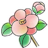 つばき「桜の季節」と「終活」がテーマのヒューマンドラマ