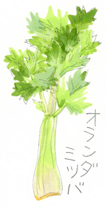 野菜の名前なあに？【食と歴史・言葉】［社会科］