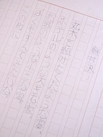 P8090004.JPG