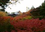 東福寺