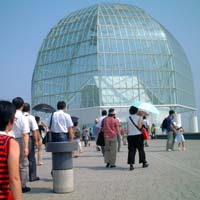 カツオの秘密を探ろう！東京都水産試験場・葛西臨海水族園