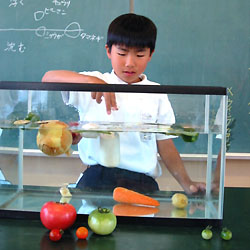 食育と授業：【科学遊び】［理科・家庭科］