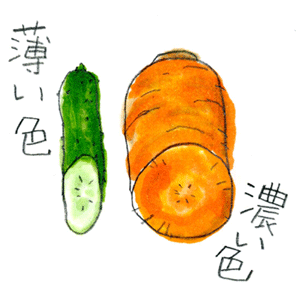 野菜のおなか【食と栄養】［学活］