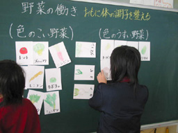 野菜のおなか【食と栄養】［学活］