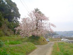 File1080410.jpg