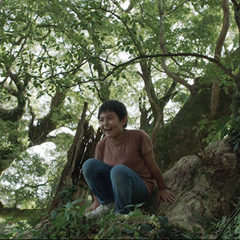 『郷』鹿児島の圧倒的な自然の中で、高校球児の挫折と再生への道を描く