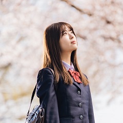 『世の中にたえて桜のなかりせば』「桜の季節」と「終活」がテーマのヒューマンドラマ