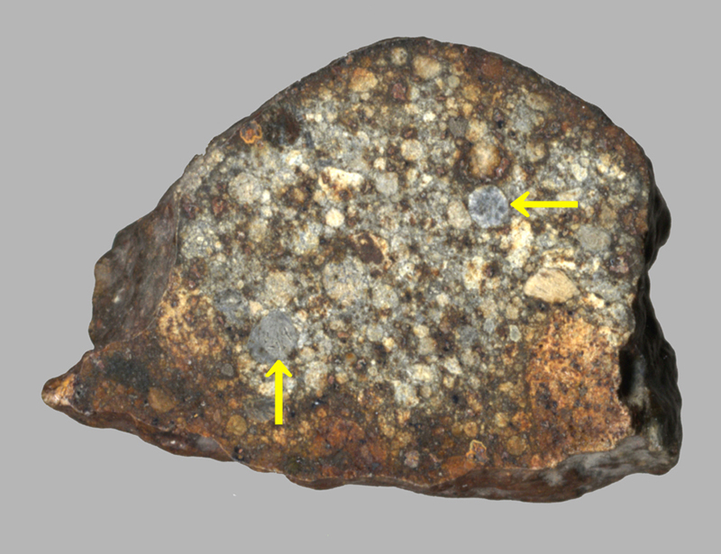<写真1>コンドライト。サハラ砂漠で2001年に発見されたもので、NWA869と呼ばれています。スライスし、その面を磨いた標本です。コンドリュールと呼ばれる丸い粒を含むのが特徴です。うち2つを黄色矢印で示してあります。標本横幅約2.6cm。（クリックで拡大）