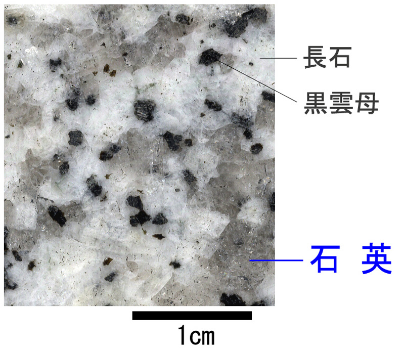〈写真6〉茨城県笠間市稲田産の花こう岩。灰色・白色・黒色の粒は、それぞれ別々の鉱物で、灰色のガラスのように見えるのが石英です。このように、規則的な外形を示していない石英は、水晶とは呼ばれません。