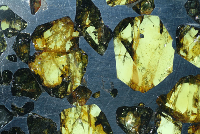 <写真3>石鉄隕石。アルゼンチン共和国・エスケルで1951年に発見されたもの。緑色のかんらん石と銀灰色の金属鉄からできています。スライスし、その面を磨いた標本です。写真横幅約4cm。産業技術総合研究所・地質標本館所蔵標本（登録番号R78254）。写真撮影・提供：地質標本館館長・青木正博博士。（クリックで拡大）