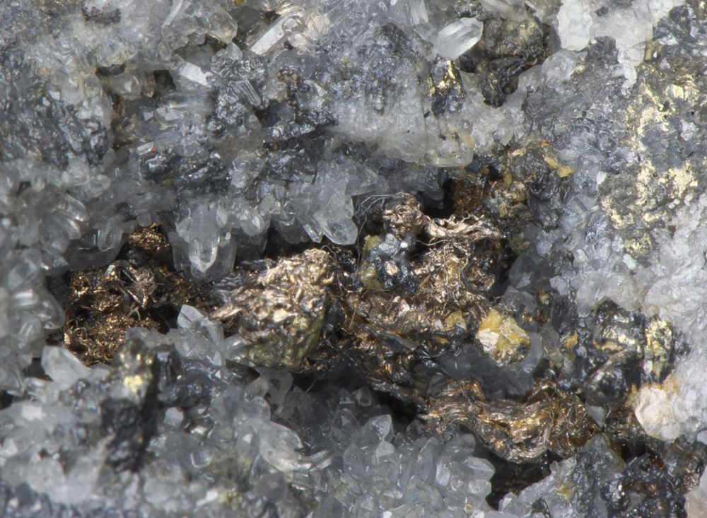 北海道・豊羽（とよは）鉱山産の自然銀。無色透明の水晶と共存しています。産業技術総合研究所・地質標本館所蔵標本。写真撮影：青木正博地質標本館長