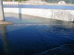 手前が道路、奥が八幡川。川と道路の境目が分からなくなるほど浸水している