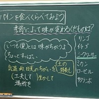 冬のパイナップルを食べ比べ、夏との味の違いを知る【食と地域】[小学４年生・社会]