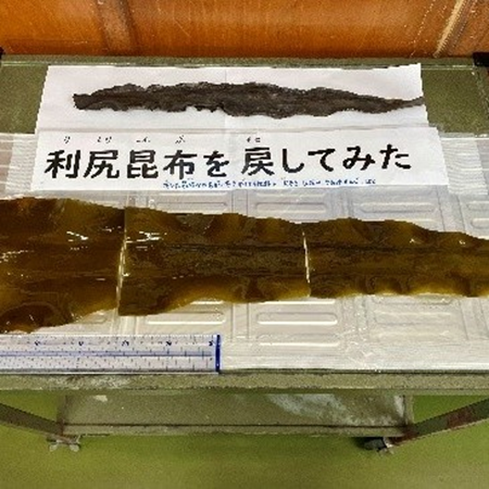 学校給食とICTで地域をつなぐ昆布ロード交流学習の実践 ―利尻昆布とモズクを通じた北海道・沖縄の食育交流―（２）【食と文化・風土】[小学校５・６年生]