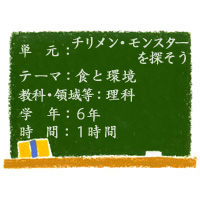 チリメン・モンスターを探そう【食と環境】［小６・理科］