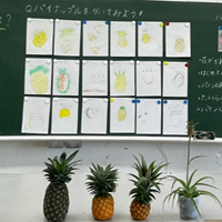 パイナップルの授業【食と地域】[小学２年生・生活科]
