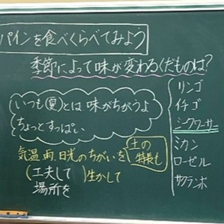 冬のパイナップルを食べ比べ、夏との味の違いを知る【食と地域】[小学４年生・社会]
