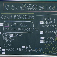 やさいげんき２年１くみGOGOGO!!（１）【食とくらし】［小２・生活科］　