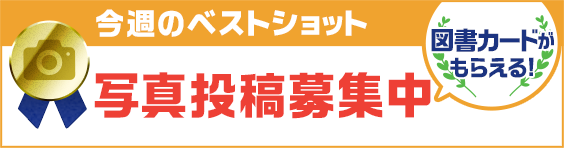 今週のベストショット　写真投稿募集