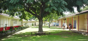 長屋のように縦列に並ぶのが公立学校の校舎。教室のドアの色が学年別に異なり、一年生は鮮やかなブルー、二年生は落ち着きのあるピンクという具合だ。中庭には木とベンチがある。